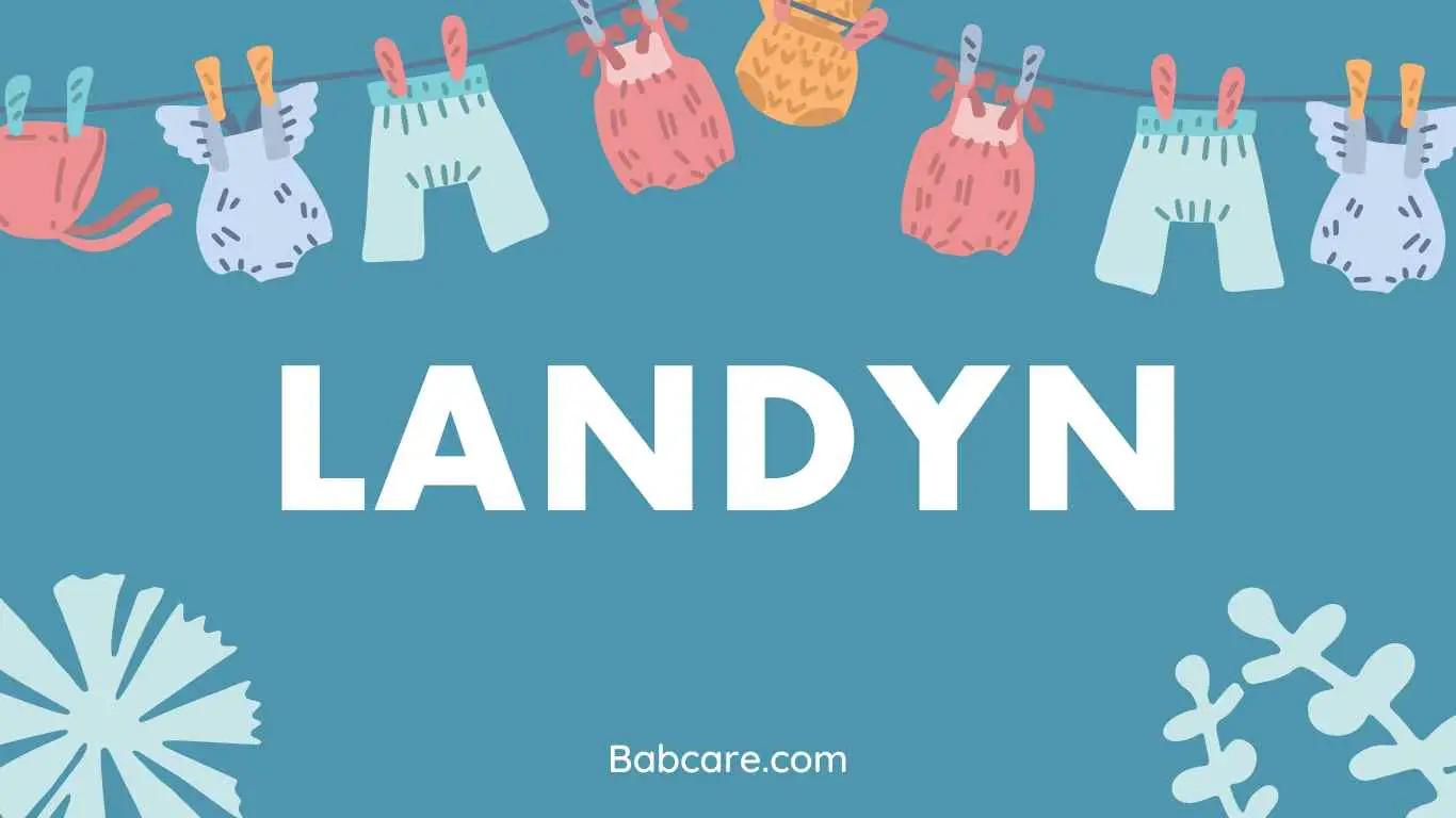 Landyn name meaning