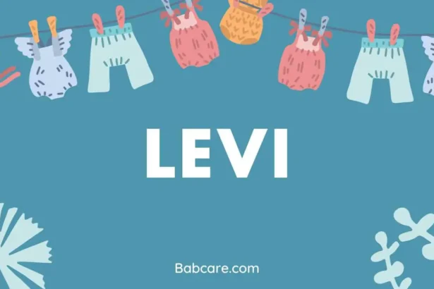 Levi name meaning