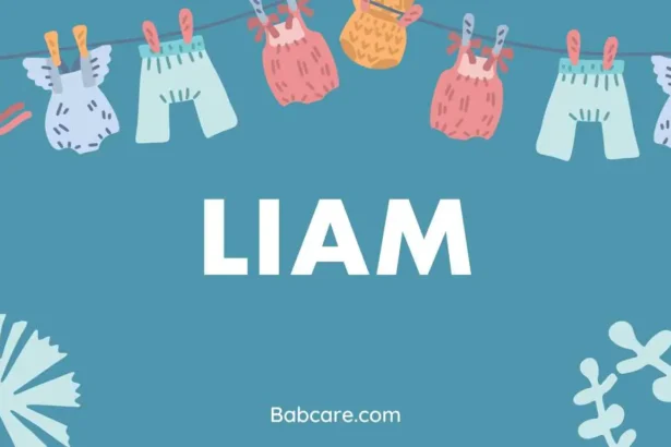 Liam name meaning