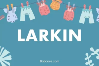 Larkin name meaning