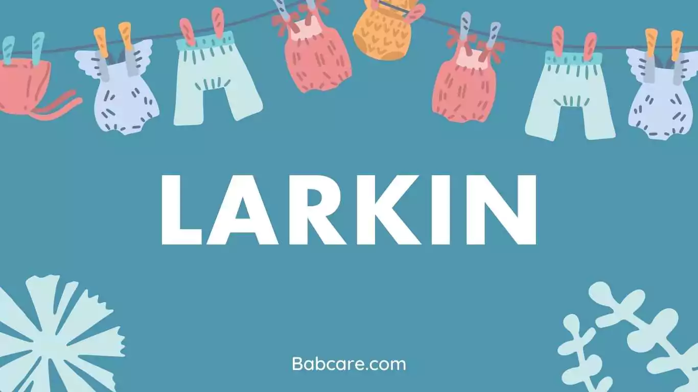 Larkin name meaning