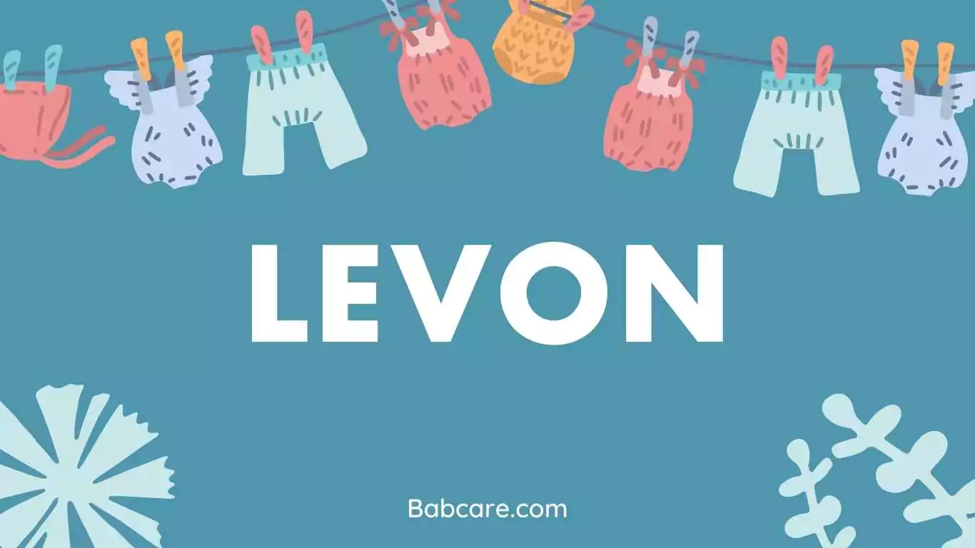 Levon name meaning