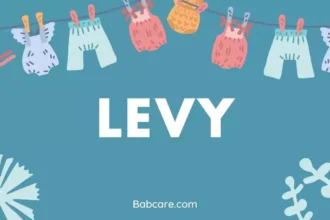 Levy name meaning
