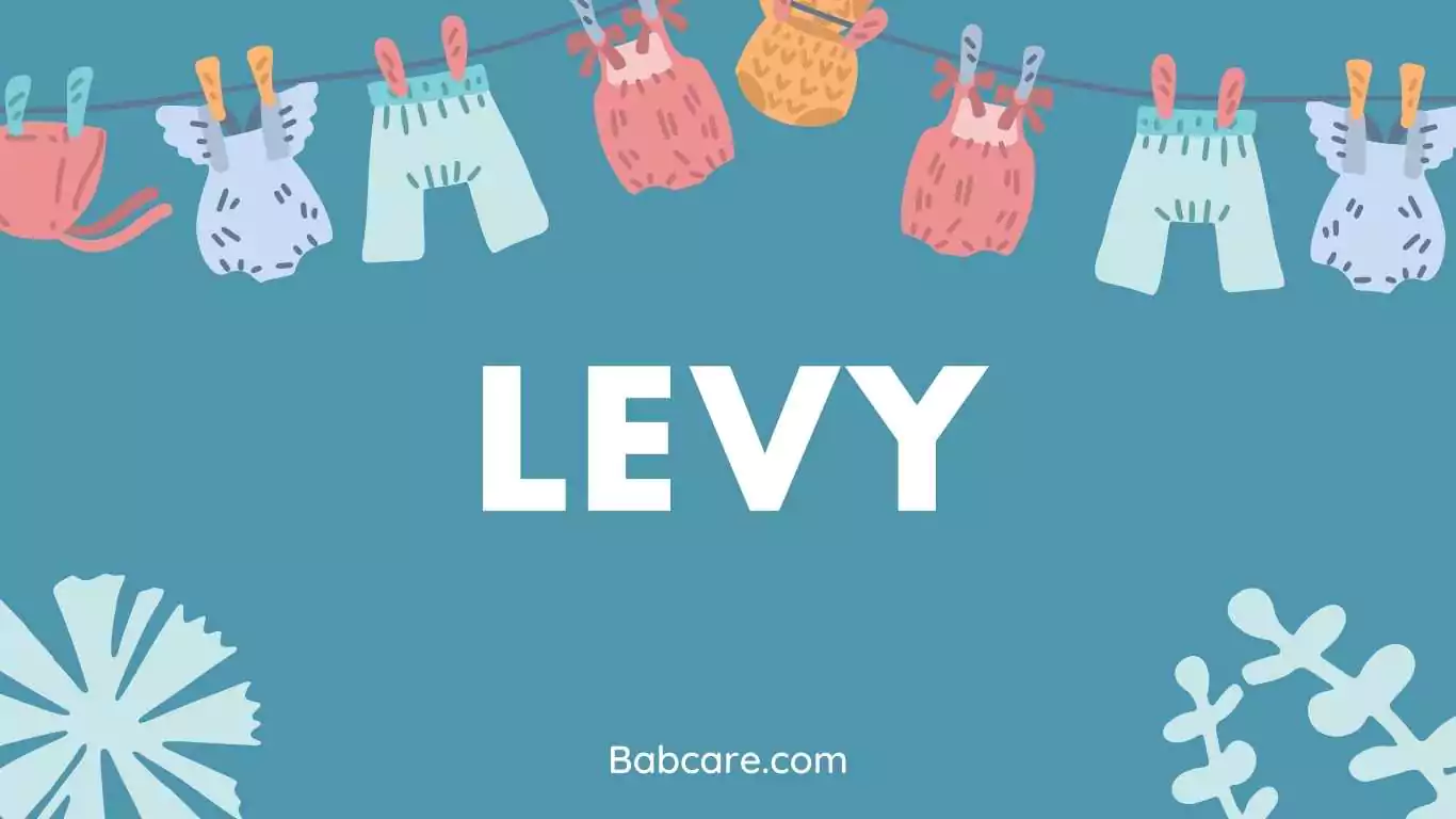 Levy name meaning