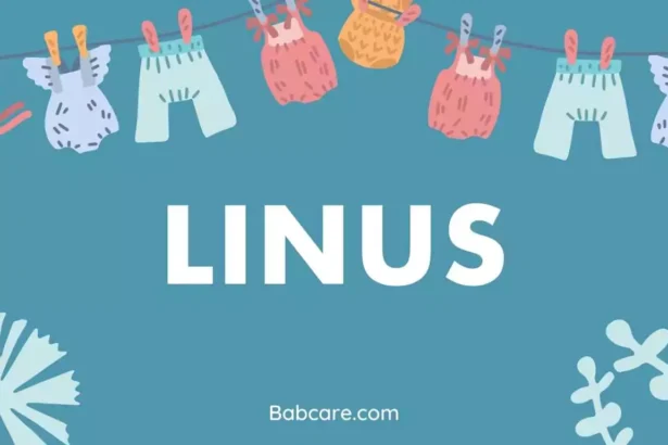 Linus name meaning