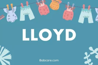 Lloyd name meaning