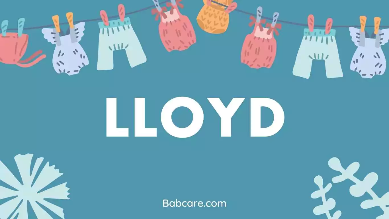 Lloyd name meaning