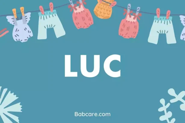 Luc name meaning