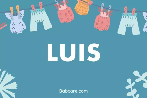 Luis name meaning